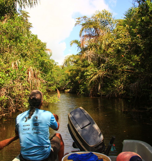 Nicaragua-Solentiname-Los-Gatuzos-3