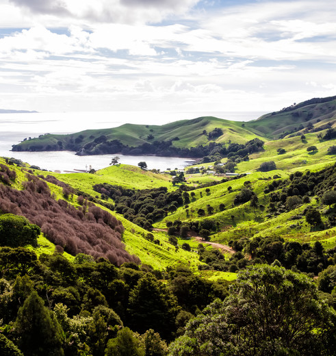 Het heuvelachtige landschap, Coromandel, Nieuw-Zeeland