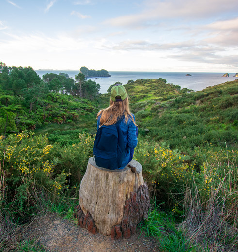 Wandel langs de kust, Coromandel, Nieuw-Zeeland