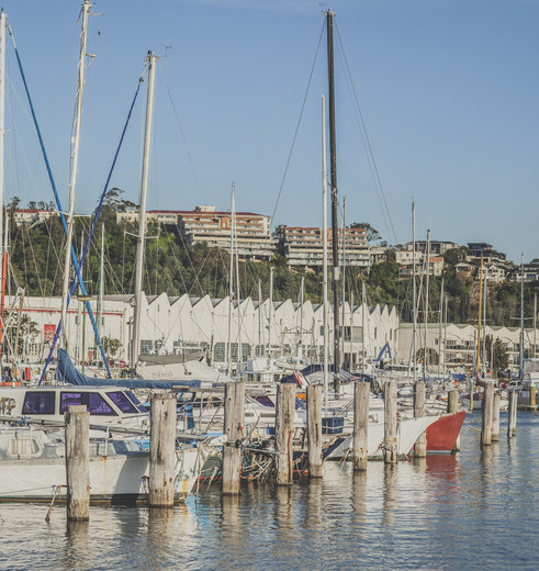 Nieuw-Zeeland-Noordereiland-Napier-Haven-1