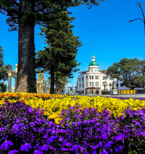 Nieuw-Zeeland-Noordereiland-Napier-stad-2_1_593620