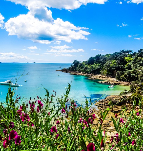 Relaxen op Waiheke Island, Hekerao Bay