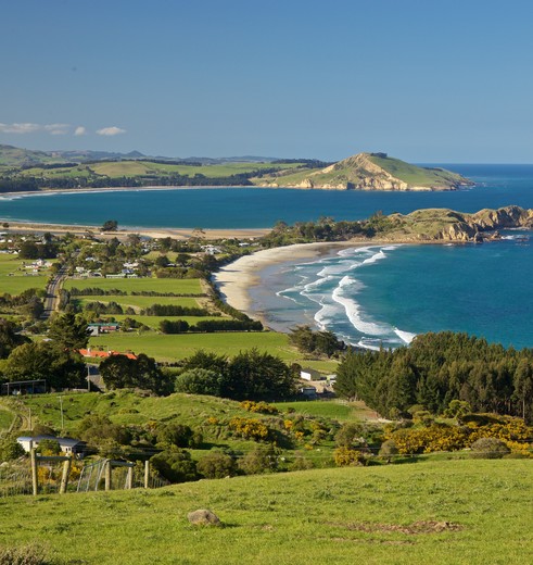 Nieuw-Zeeland-Otago-Peninsula-7