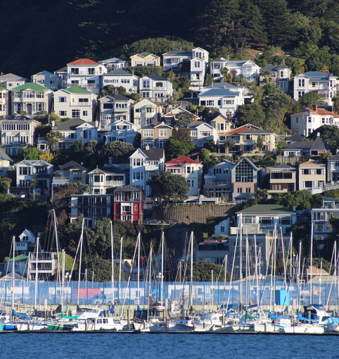 Wonen tegen de heuvel, Wellington, Nieuw-Zeeland