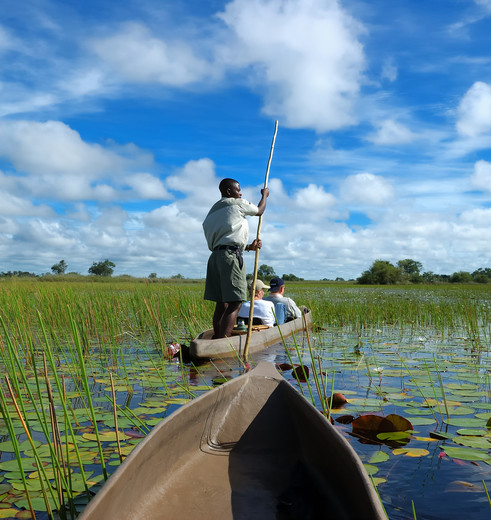 Vaar in een mokoro door de Okovango Delta, Botswana