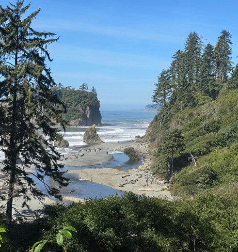 Doorkijkje naar een strand in Olympic National Park, Verenigde Staten