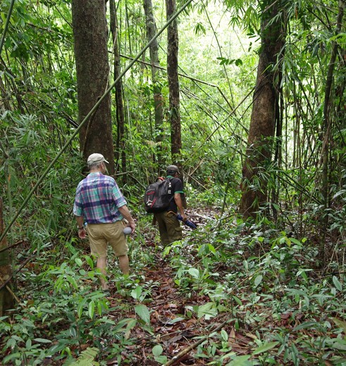 Wandelen met een lokale gids tussen de bossen, Buiten Vientiane, Laos