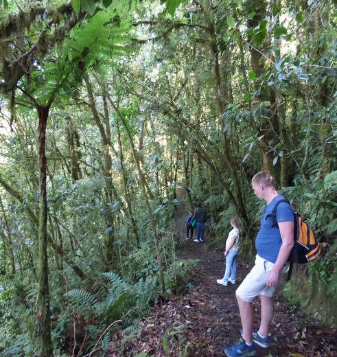 Panama-Boquete-Jungle_1_367453