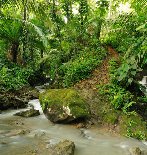 Panama-Darien-2_1_363209