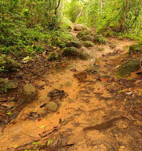 Panama-Darien-4_1_363245