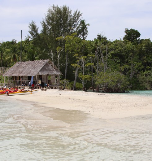 Papua-Raja-Ampat-strand