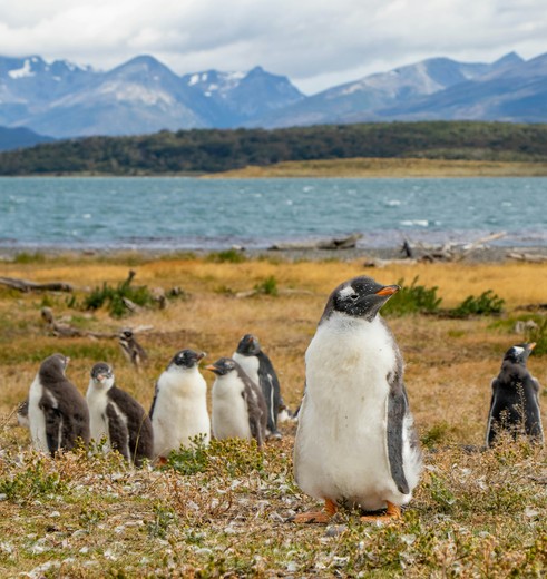 Frank en Ann reisden in 2024 naar Argentinië.