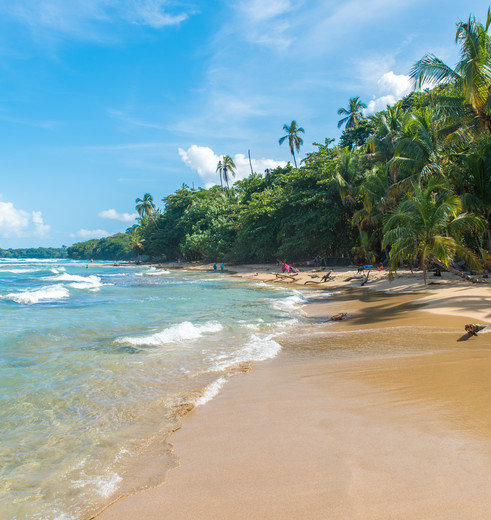Het zandstrand in de omgeving van Puerto Viejo de Talamanca - Costa Rica