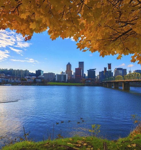 Uitzicht in de herfst op de skyline van Portland, Oregon, USA