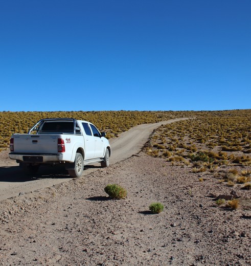 Onherbergzame, maar rustige wegen op de Puna-hoogvlakte, Argentinië