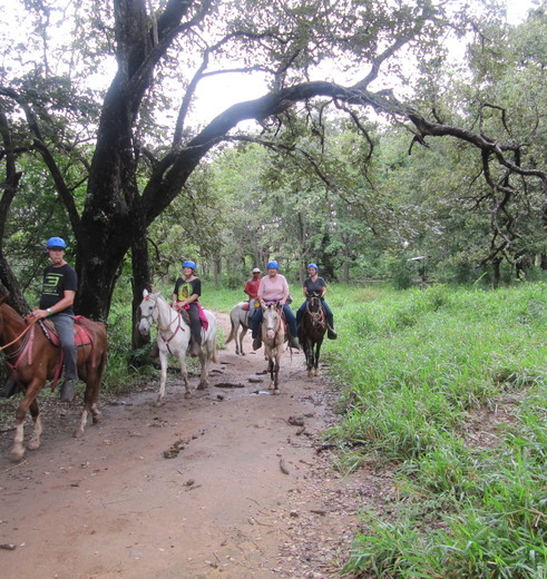 Rincon-de-la-Vieja-Paardrijden_1_337932