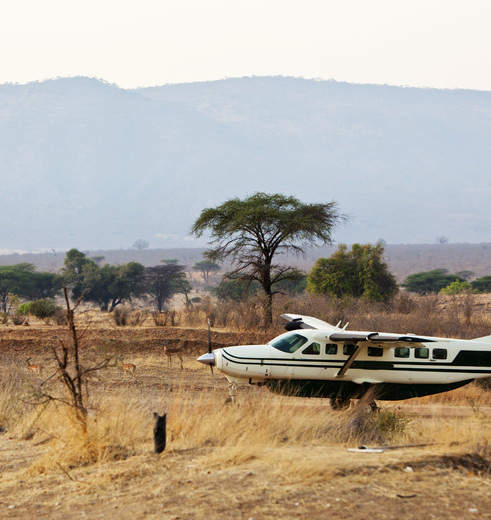 vliegen naar Ruaha National Park, Tanzania