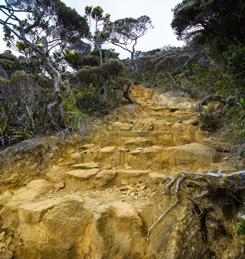 Sabah-MountKinabalu-trail-from-rocks(8)
