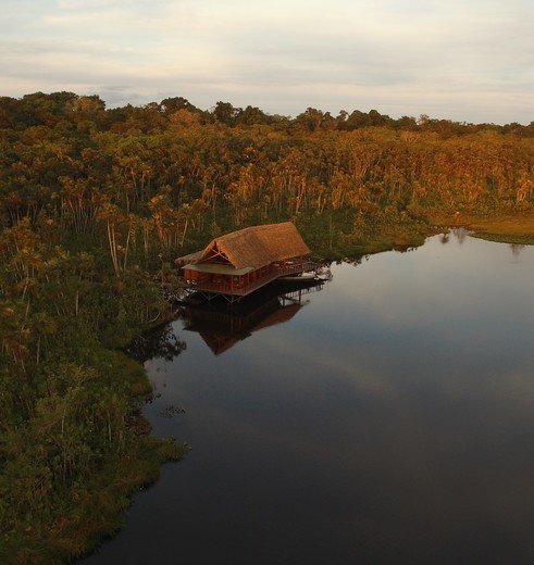 Sacha Lodge middenin de jungle van Ecuador