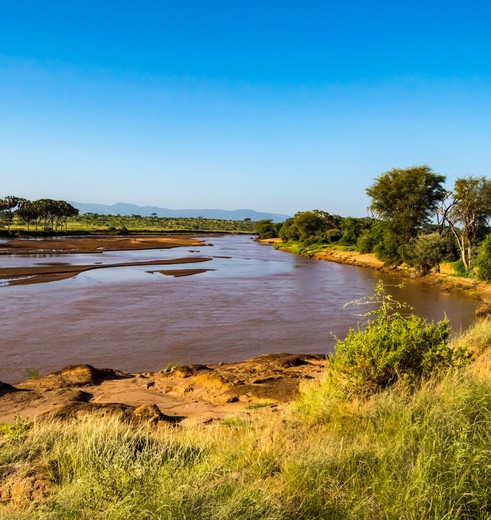 Ewaso Nyiro-rivier Samburu NP, Kenia
