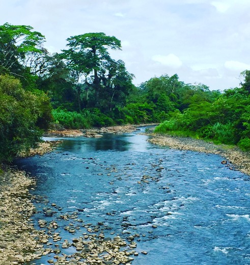 Sarapiqui-2(5)