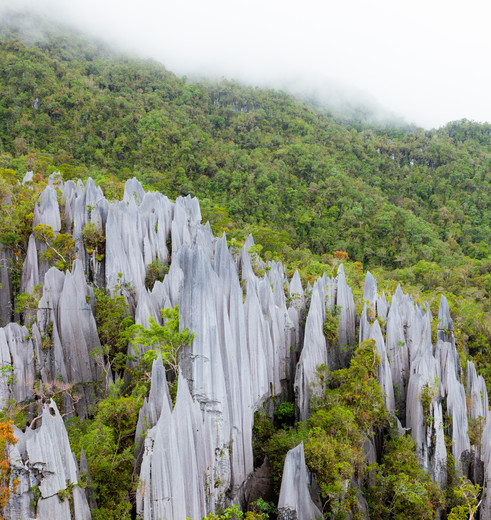 Grotten in Mulu NP, Maleisië