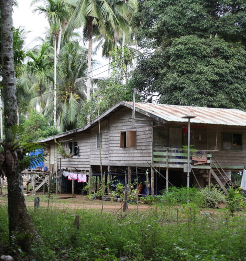 Tanjung Datu NP in Sarawak