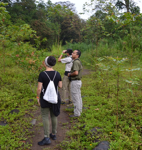 Selva-Verde-Lodge-Birdwatching-tour-4(8)