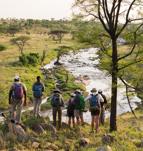 wandelsafari door Serengeti, Tanzania