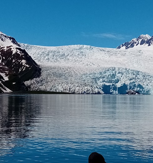 Cruise bij Seward langs een gletsjer, Alaska, Amerika