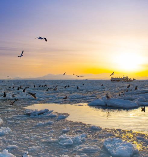 Drijvend ijs bij Shiretoko