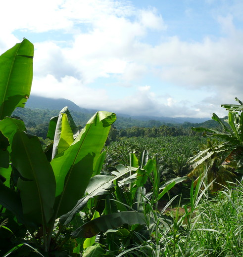 Sipirok-Onderweg1_1_405974