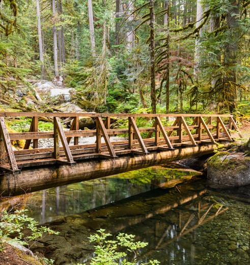Wandelen door de natuur bij Snoqualmie, USA