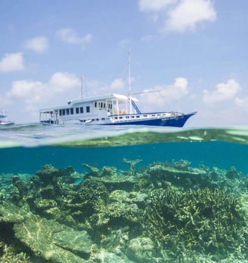 Snorkelcruise-01-3(3)