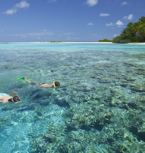 9_malediven_3_check_286401