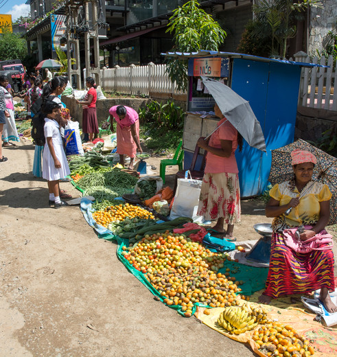 Lokaal marktje bij Ella, Sri Lanka