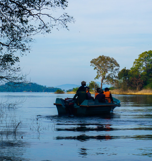Kijk je ogen uit naar al het wildlife in Gal Oya National Park tijdens een bootsafari