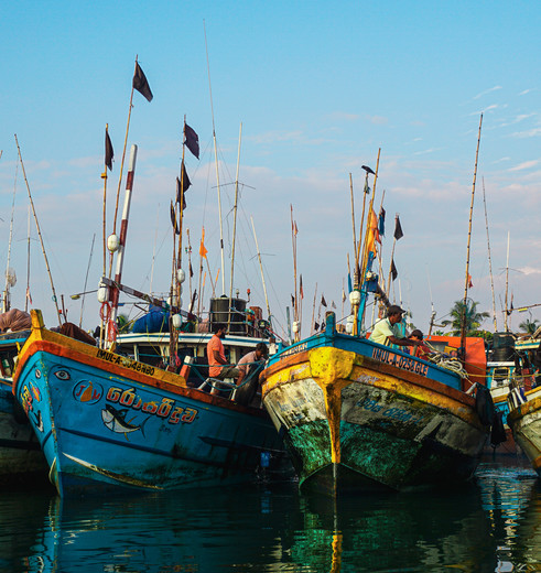 Boten in Negombo, Sri Lanka