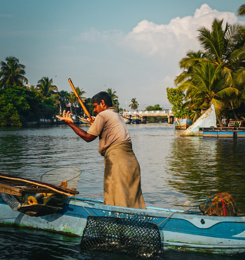 Sri Lanka, Negombo visser