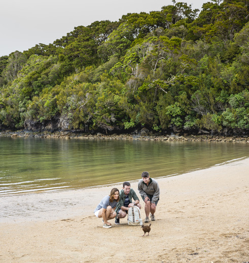 Wildlife spotten op Stewart Island in Nieuw-Zeeland