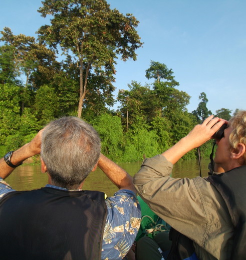 Vogels kijken in Sukau NP