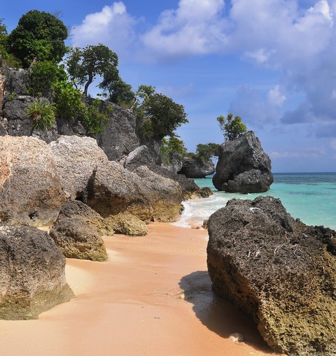 Sulawesi-Bira-Kust_1_458702