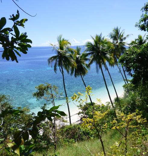 Het witte zandstrand van Buton, Sulawesi