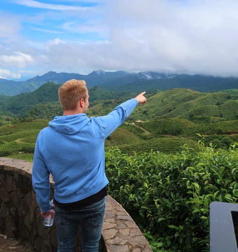 Groene hooglanden van Malino op Sulawesi