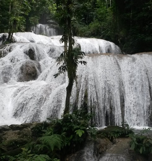 Sulawesi-Posomeer-watervallen(8)