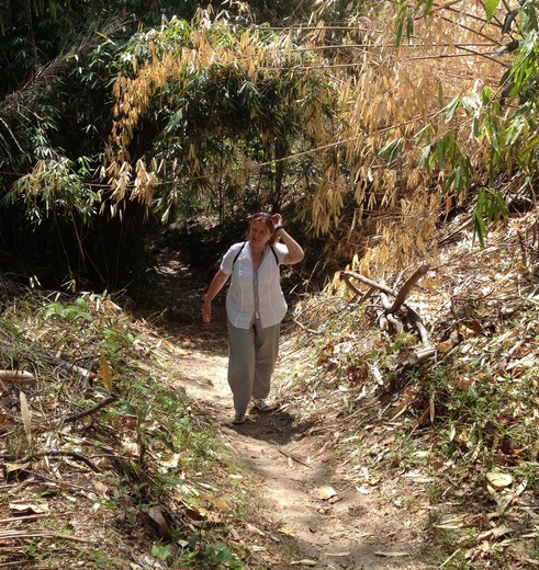 Sulawesi-Pulisan-wandeltocht(8)