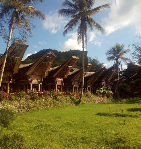 De traditionele Tongkonanhuizen van Torajaland, Sulawesi De traditionele Tongkonanhuizen van Torajaland, Sulawesi