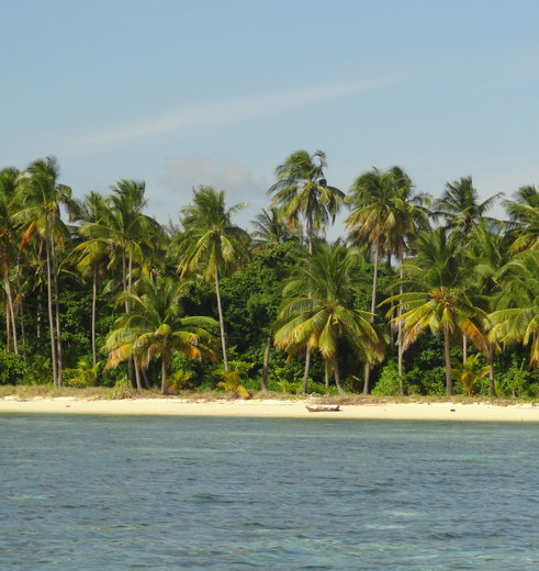 Sulawesi-Wakatobi-Hoga-Strand