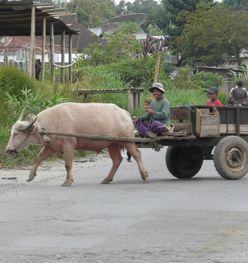 Het straatleven in de omgeving van Brastagi op Sumatra, Indonesië