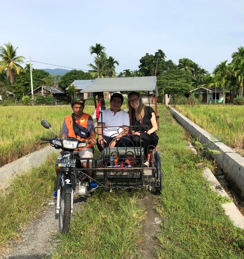 Stap in een traditionele betjak in Bukit Lawang op Sumatra